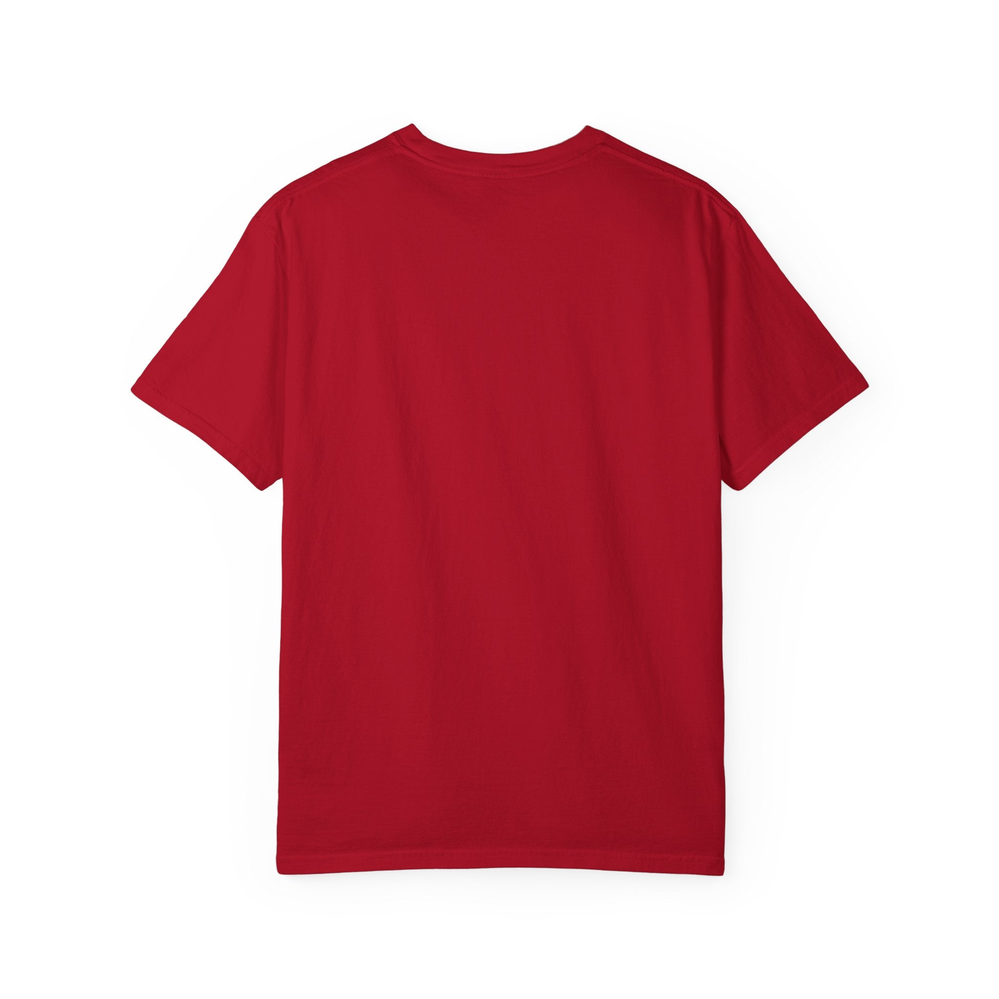 I Came For The BS - Baseball Comfort Colors Tee